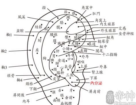 耳朵痣男|男人耳朵上有痣图解对照表 耳朵周围痣的秘密解析——天玄网